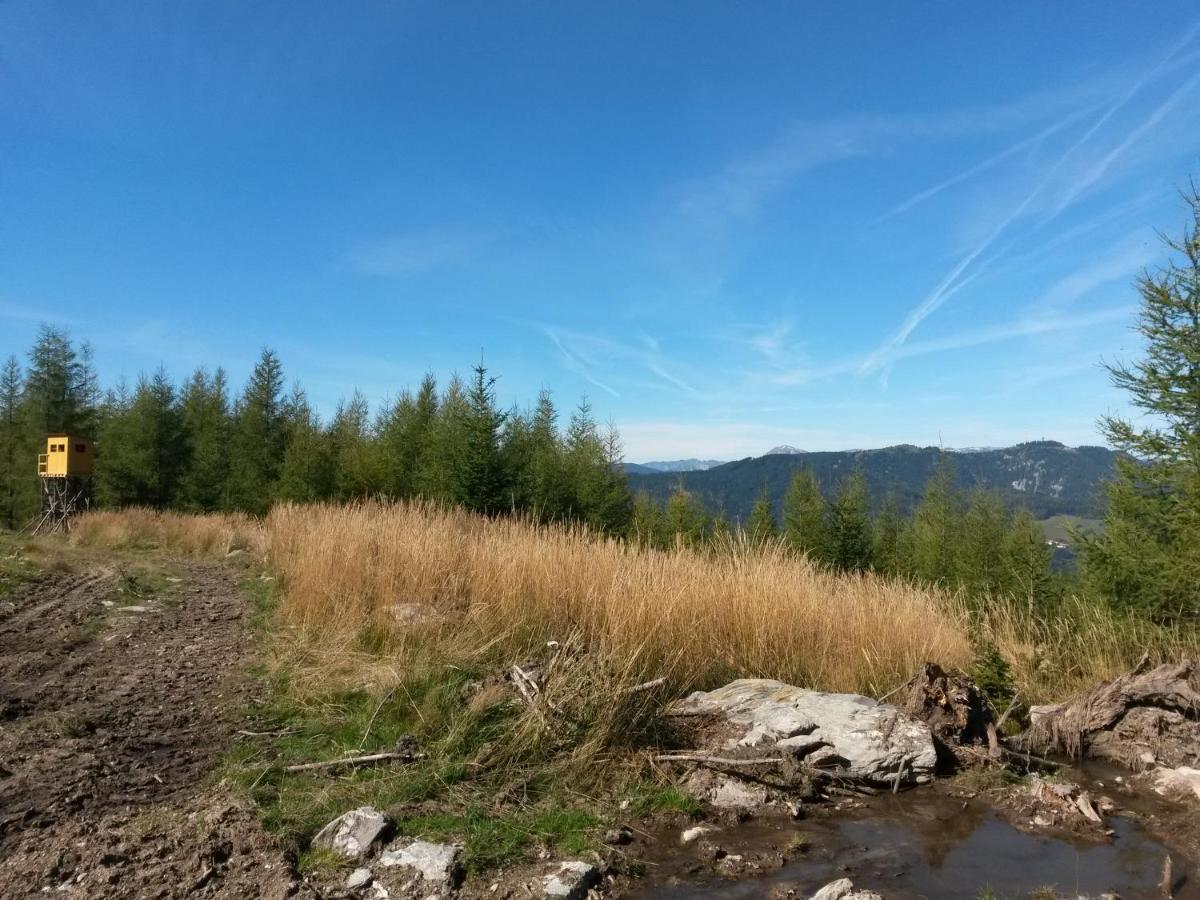 Отель Hubertushof Trattenbach  Экстерьер фото